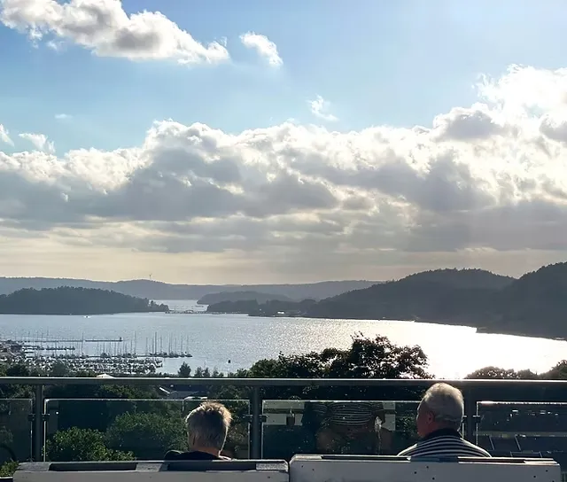 Ljungskile restaurang